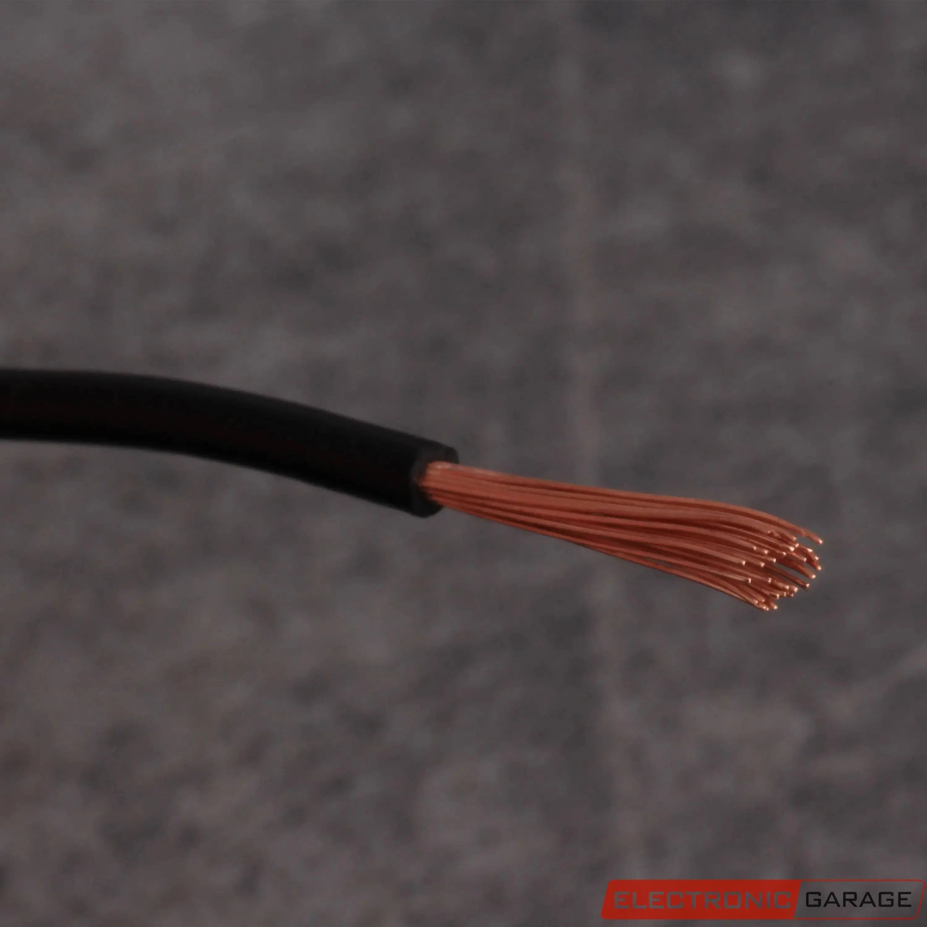 Electronic Garage